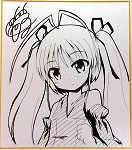 t_20090601_shikisi1_s.jpg