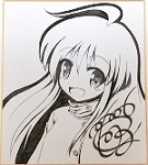 t_20090601_shikisi4_s.jpg